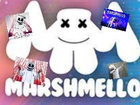 Marshmello!!!