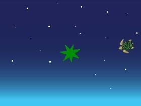 Turtle in Space