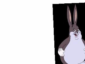 take a pic with big chungus