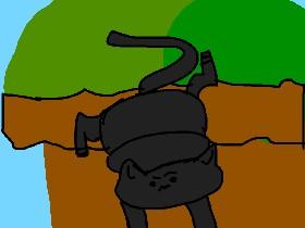 Cat stuck in a tree