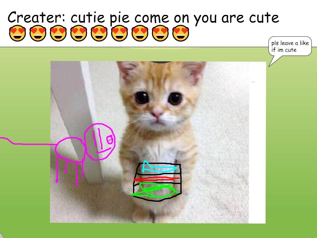 messege from cutie 