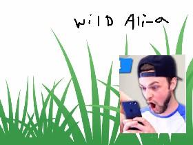 wild ali-a