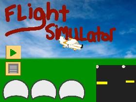 Flight sim 1