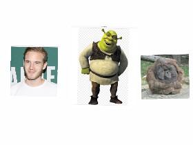 which is is better
