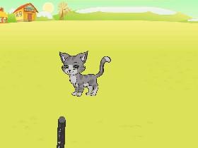 A Pet Game 1