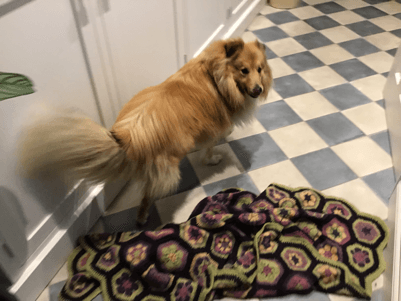  Dorito man vs Cyclops 1