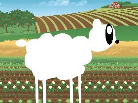 exploding sheep