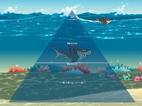 Ecological Pyramid 1