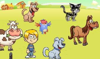why my pet are shouting