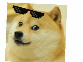 DOGE  1 1 1