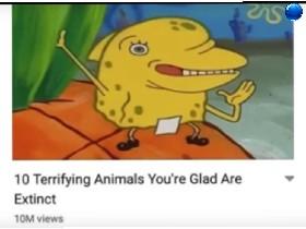 Meme