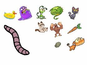 Randomnes