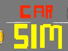 Car Sim by Aditya Gopu
