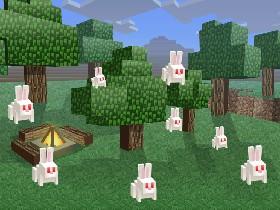 Rabbit Roundup 1
