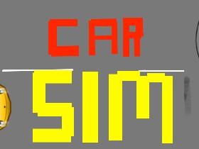 Car Sim RELEASED 1 1