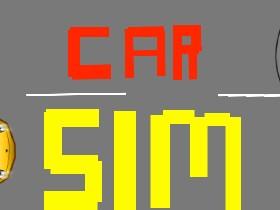Car Sim RELEASED 1 1