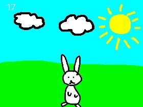 Rabbit Roundup