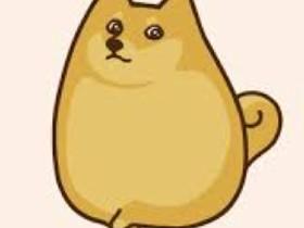Doge Despacito