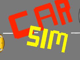 Car Sim!!