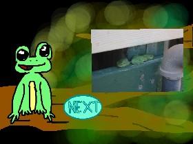 Croaky's Fam