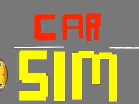 Car Sim 2 1