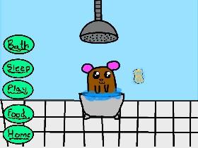 My Pet Hamster 1