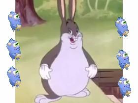 walk on big Chungus