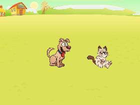 talking with cat and dog