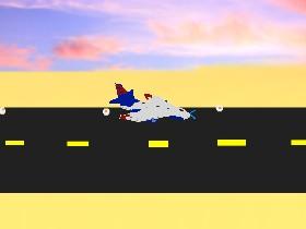 Flight Sim 1 1