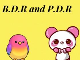 B.D.R and P.D.N