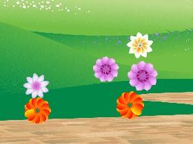 Flower Bloom Simulator