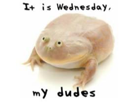 turn down for wednesday