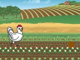 Chicken Feeding