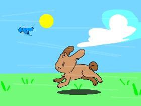 Running Bunny
