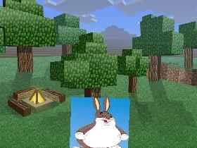 Rabbit Roundup 1 1