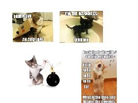 Cat Meams 1
