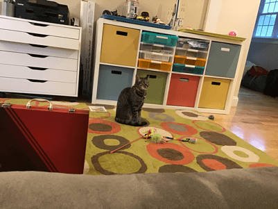 Kitty Likes going to work