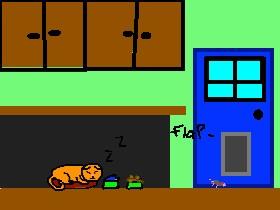 The life of fluffy 1 1