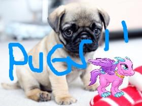 pug clicker bounce 1 - copy