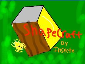 ShapeCraft v.