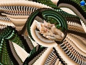 Cat spinner