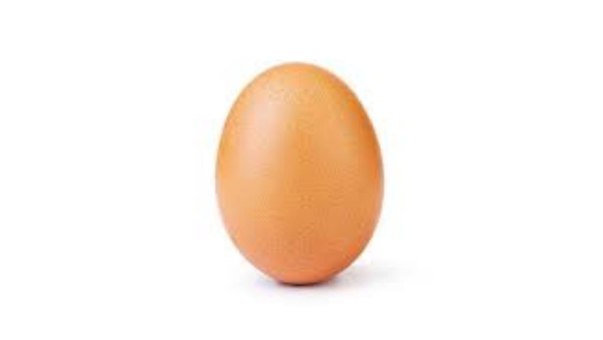 instragram egg