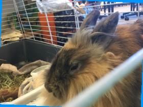 Mr.Krabs, Baby! 1312523 1 1