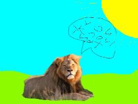 Wise Lion🦁