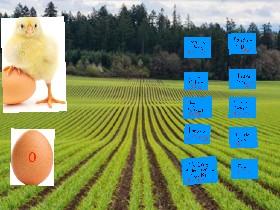Chicken Clicker 1