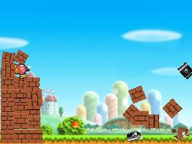 Mario's Target Practice 1
