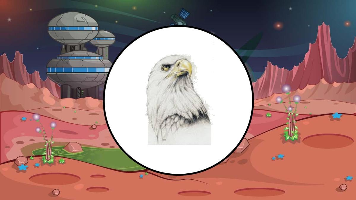 mission patch: eagle one