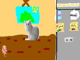 kitty simulator 