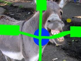 donkeys spinner