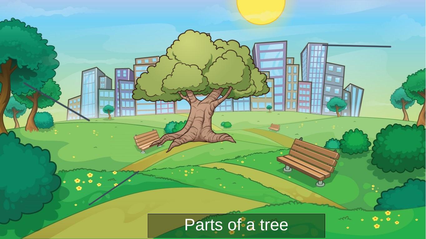 Parts of a Bee - TEMPLATE